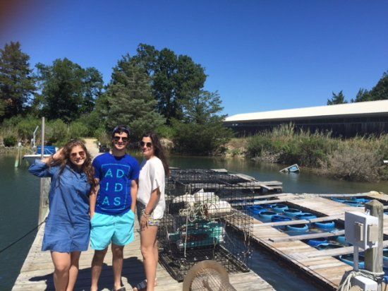 Southold Bay Oysters
